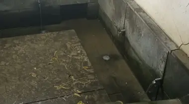54a Akdeniz 6 Caddesi, 31225, Arsuz, Akçali, Hatay, Türkiye