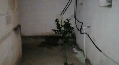 Mezitli Hali, 33200, Davultepe, Mersin, Türkiye