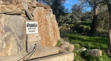 48200, Milas, Muğla, Türkiye