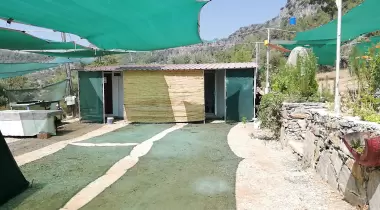 KOZA CAMPİNG