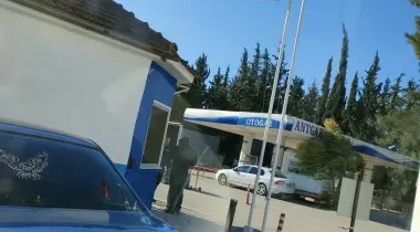 Palmiye Caddesi, 07060, Antalya, Antalya, Türkiye