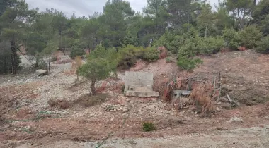 01770, Karaisalı, Adana, Türkiye
