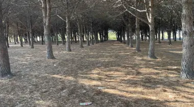 17100, Çanakkale, Çanakkale, Türkiye