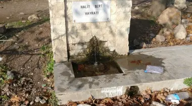 Eyko 21 Sokak, 35980, Dikili, İzmir, Türkiye
