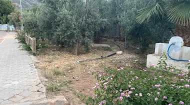 233. Sokak, 48300, Fethiye, Muğla, Türkiye
