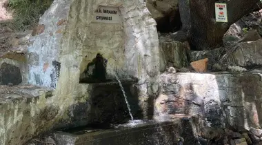 48800, Köycegiz, Muğla, Türkiye