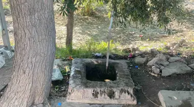 35920, Selçuk, İzmir, Türkiye