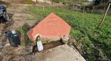Kandira Ağva Yolu Caddesi, 34990, Şile, İstanbul, Türkiye