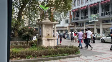 358 Atatürk Caddesi, 53020, Rize, Rize, Türkiye