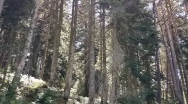 Ankara-Bolu Yolu, 14902, Gerede, Bolu, Türkiye