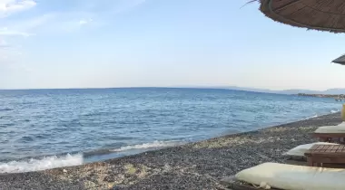 Assos Taşlı Tarla
