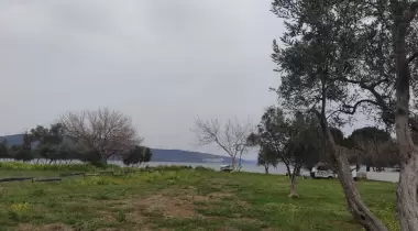 Arda camping