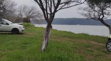 Arda camping