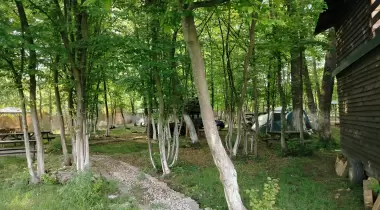 Patika camping