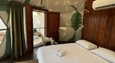 Assos Taşlı Tarla