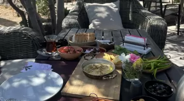 Assos Taşlı Tarla