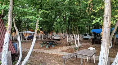 Patika camping