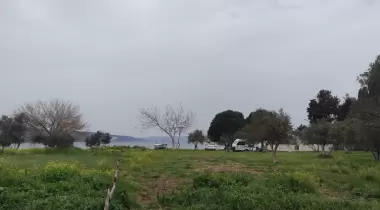 Arda camping
