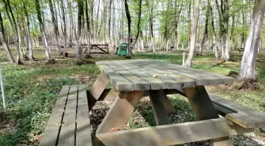 Patika camping