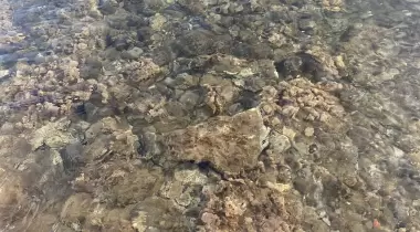 Apollon plajı