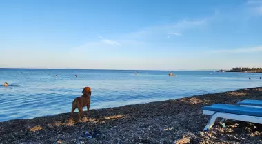 Kadırga Koyu