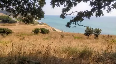 Enez KARAİNCİRLİ KÖYÜ Sahili