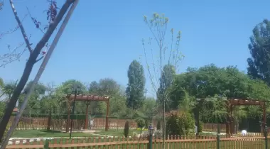 Royal Karavan Park