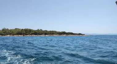 Venüs Koyu