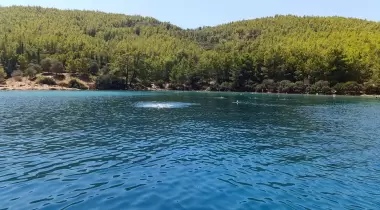 AKBÜK KOYU
