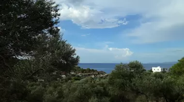 Boyabağı Koyu