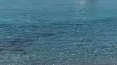 Venüs Koyu