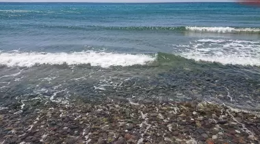 Apollon plajı