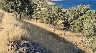 Larisa (Troad) Antik Kenti