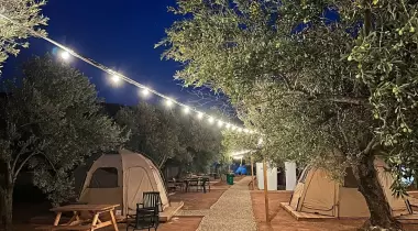 Vamos Camping