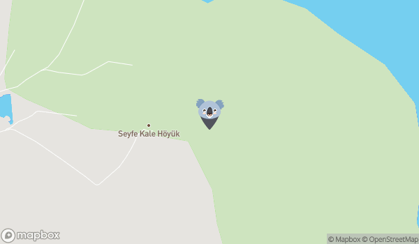 Kırşehir Seyfe Gölü Tabiatı Koruma Alanı