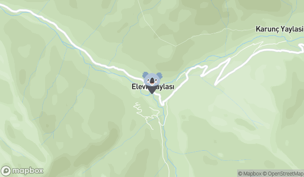 Elevit Yaylası