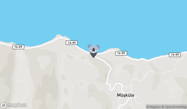 Gemlik Müşküle Anıt Çınar Ağacı