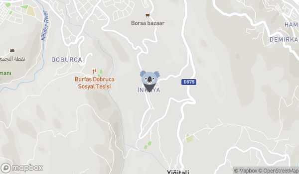 Bursa İnkaya Anıt Çınar Ağacı