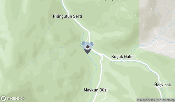 Galer Düzü Kamp Alanı