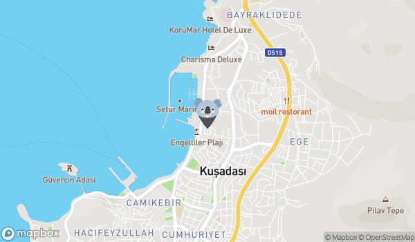 Önder Camping