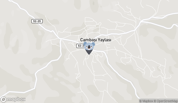 Çambaşı Yaylası