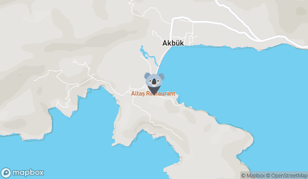 Akbük Palmiye Beach Cafe & Camping