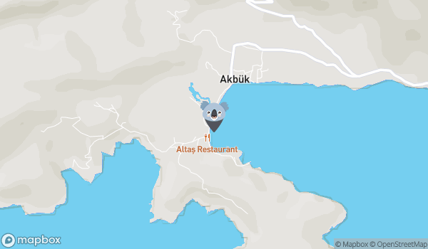 AKBÜK KOYU