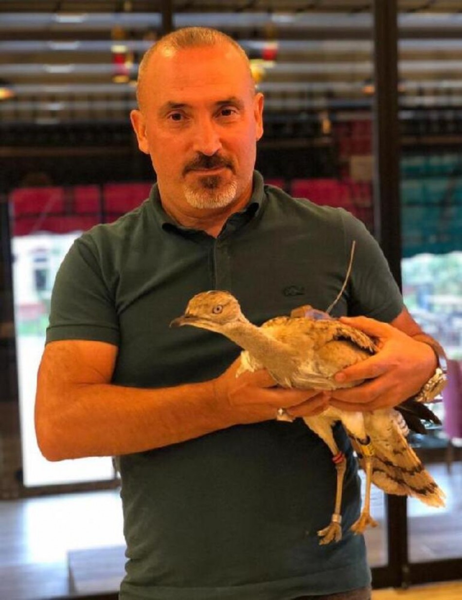 Yakalı Toy Kuşu Yozgat�ta Bir �Amip� Tarafından Vurulmuş Yakalı Toy Kuşu Yozgat�ta Bir �Amip� Tarafından Vurulmuş