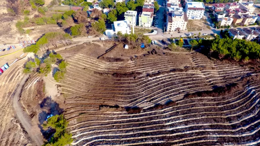 2020 Yılında Hatay'da Yanan Orman Alanları Gençleştiriliyor