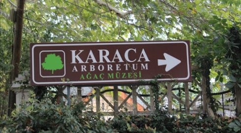 Yalova Karaca Arboretum Canlı Ağaç Müzesi