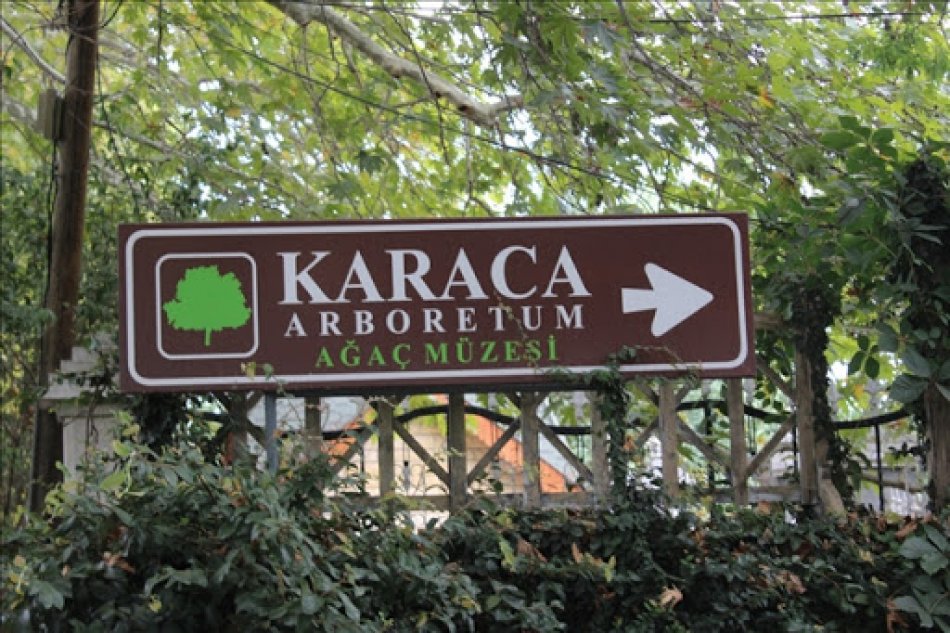 Yalova Karaca Arboretum Canlı Ağaç Müzesi 