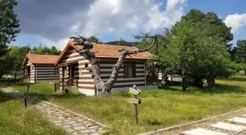 Bolu'da Bungalovda Konaklayabileceğiniz Tabiat Parkları