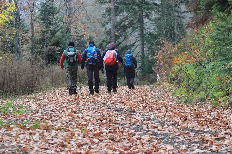 İkiztepe-Nerik Yürüyüş Parkurları 