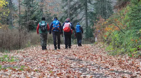 İkiztepe-Nerik Yürüyüş Parkurları
